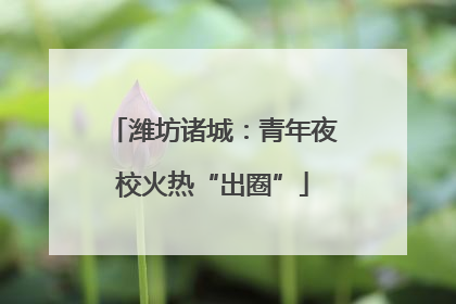 潍坊诸城：青年夜校火热“出圈”