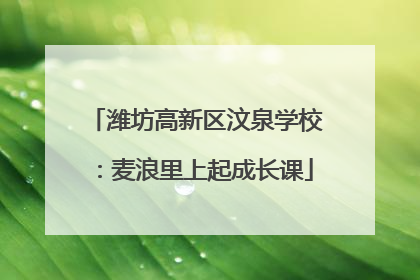 潍坊高新区汶泉学校：麦浪里上起成长课
