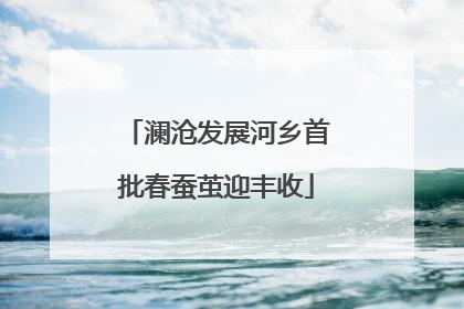 澜沧发展河乡首批春蚕茧迎丰收