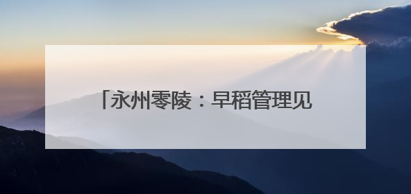 永州零陵：早稻管理见成效 稻浪飘香穗满田
