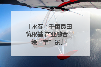 永春：千亩良田筑根基 产业融合绘“丰”景