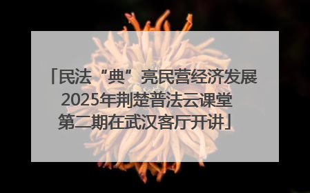 民法“典”亮民营经济发展 2025年荆楚普法云课堂第二期在武汉客厅开讲