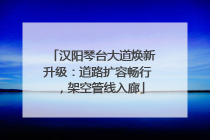 汉阳琴台大道焕新升级：道路扩容畅行，架空管线入廊