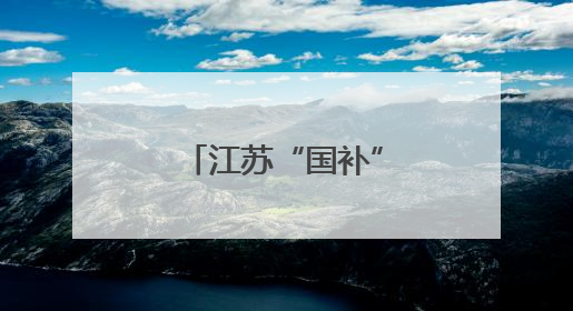 江苏“国补”采用限额分配
