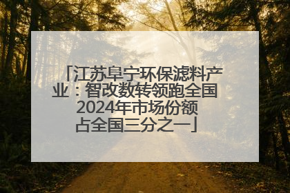 江苏阜宁环保滤料产业：智改数转领跑全国 2024年市场份额占全国三分之一
