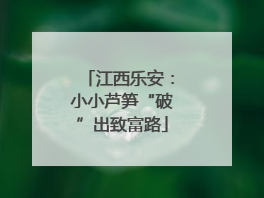 江西乐安：小小芦笋“破”出致富路