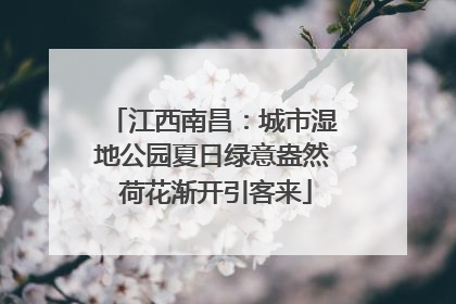 江西南昌：城市湿地公园夏日绿意盎然 荷花渐开引客来