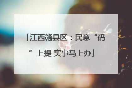 江西赣县区：民意“码”上提 实事马上办