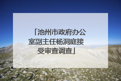 池州市政府办公室副主任杨洞庭接受审查调查