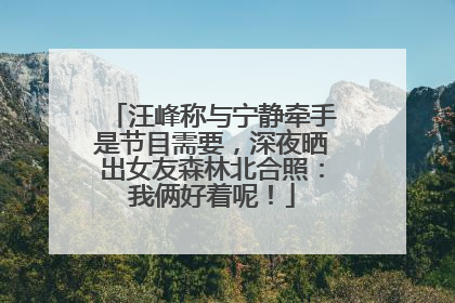 汪峰称与宁静牵手是节目需要，深夜晒出女友森林北合照：我俩好着呢！