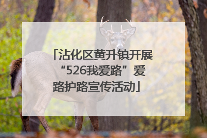 沾化区黄升镇开展“526我爱路”爱路护路宣传活动