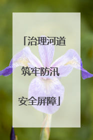 治理河道 筑牢防汛安全屏障
