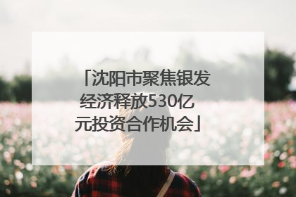 沈阳市聚焦银发经济释放530亿元投资合作机会