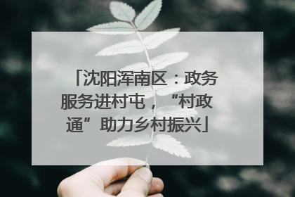 沈阳浑南区：政务服务进村屯，“村政通”助力乡村振兴