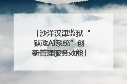 沙洋汉津监狱“狱政AI系统”创新管理服务效能