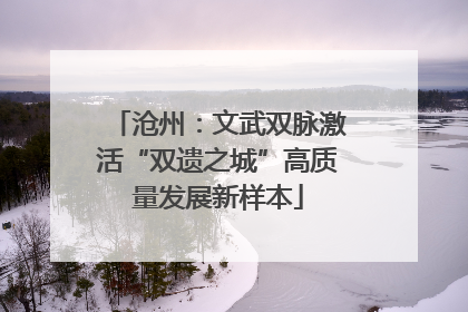 沧州：文武双脉激活“双遗之城”高质量发展新样本