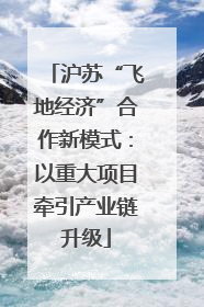 沪苏“飞地经济”合作新模式：以重大项目牵引产业链升级