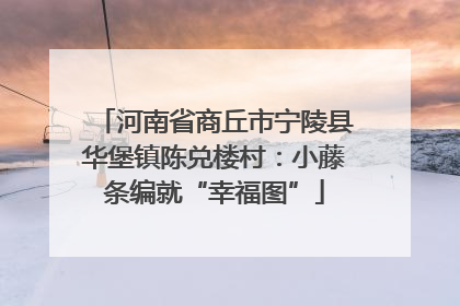 河南省商丘市宁陵县华堡镇陈兑楼村：小藤条编就“幸福图”