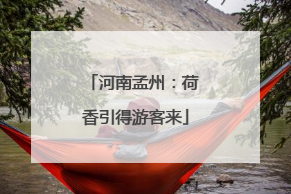河南孟州：荷香引得游客来