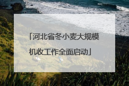 河北省冬小麦大规模机收工作全面启动
