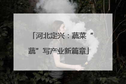 河北定兴：蔬菜“蔬”写产业新篇章
