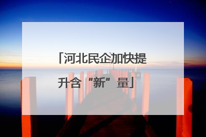 河北民企加快提升含“新”量