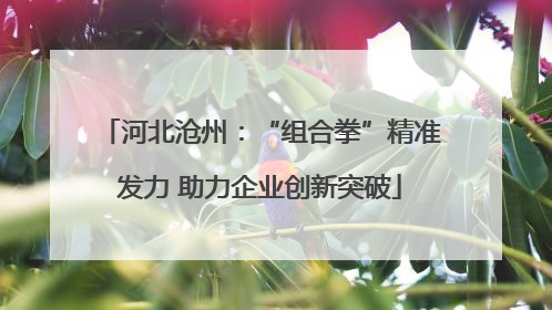 河北沧州：“组合拳”精准发力 助力企业创新突破