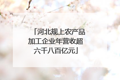 河北规上农产品加工企业年营收超六千八百亿元