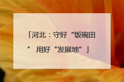 河北：守好“饭碗田” 用好“发展地”