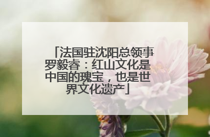 法国驻沈阳总领事罗毅睿：红山文化是中国的瑰宝，也是世界文化遗产