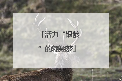 活力“银龄”的翱翔梦