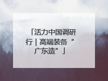 活力中国调研行｜高端装备“广东造”