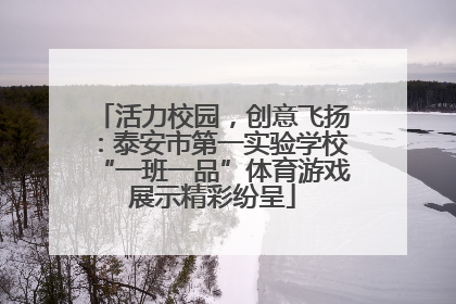 活力校园，创意飞扬：泰安市第一实验学校“一班一品”体育游戏展示精彩纷呈