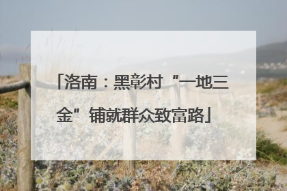 洛南：黑彰村“一地三金”铺就群众致富路