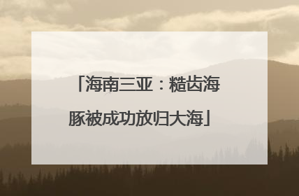海南三亚：糙齿海豚被成功放归大海