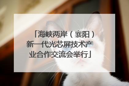 海峡两岸（襄阳）新一代光芯屏技术产业合作交流会举行