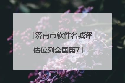 济南市软件名城评估位列全国第7