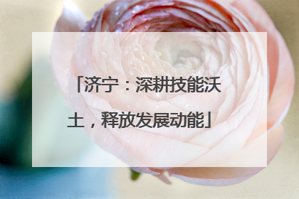 济宁：深耕技能沃土，释放发展动能