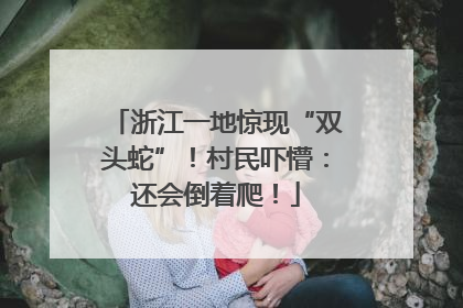 浙江一地惊现“双头蛇”！村民吓懵：还会倒着爬！