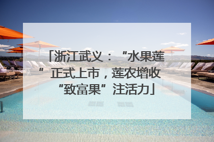 浙江武义：“水果莲”正式上市，莲农增收“致富果”注活力