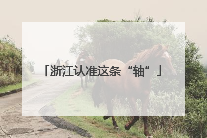 浙江认准这条“轴”
