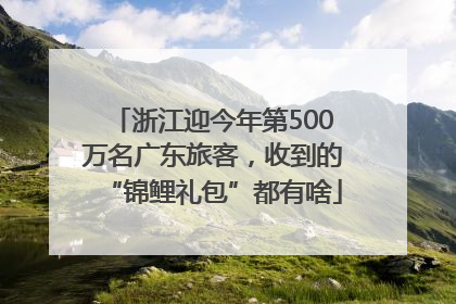 浙江迎今年第500万名广东旅客，收到的“锦鲤礼包”都有啥