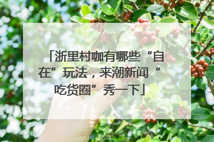 浙里村咖有哪些“自在”玩法，来潮新闻“吃货圈”秀一下