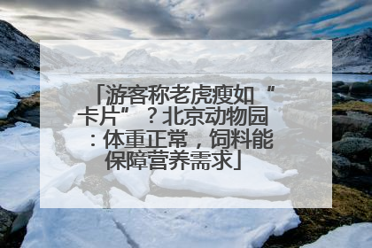 游客称老虎瘦如“卡片”？北京动物园：体重正常，饲料能保障营养需求