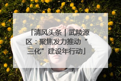 清风头条｜武陵源区：聚焦发力推动“三化”建设年行动