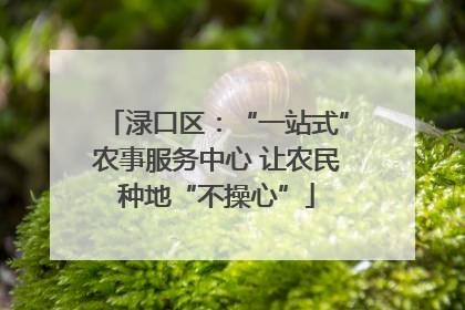 渌口区：“一站式”农事服务中心 让农民种地“不操心”