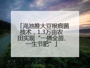 渑池推大豆根瘤菌技术，1.3万亩农田实现“一播全苗、一生节肥”