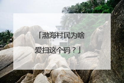 渤海村民为啥爱扫这个码？