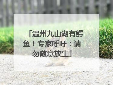 温州九山湖有鳄鱼！专家呼吁：请勿随意放生