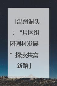 温州洞头：“片区组团强村发展”探索共富新路
